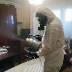 Дезинфекция от клопов в Железнодорожном