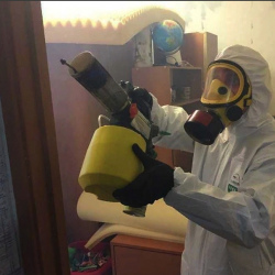 Уничтожение клопов в квартире. Железнодорожный